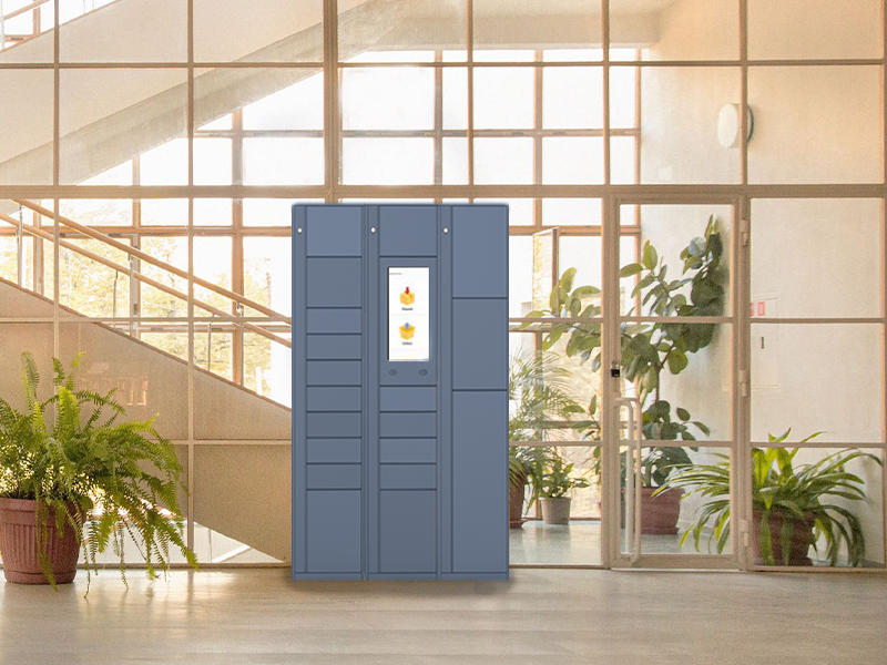 BlueBox locker lite in community area